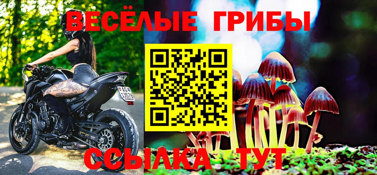 Псилоцибиновые грибы GOLDEN TEACHER Аксай